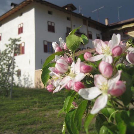 Agritur Maso San Bartolomeo Romeno Exterior foto