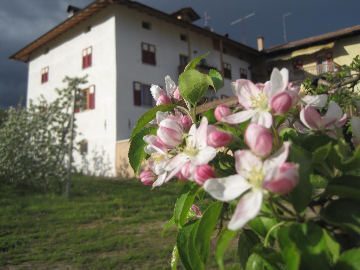 Agritur Maso San Bartolomeo Romeno Exterior foto